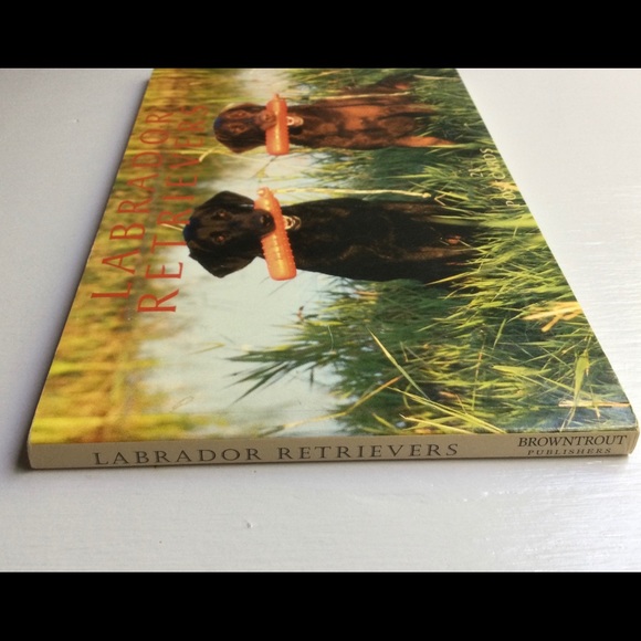 Vintage Labrador Retrievers Postcard Book, c 2000 - Picture 3 of 3